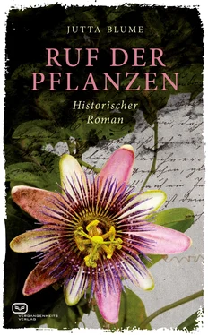 Jutta Blume Ruf der Pflanzen обложка книги