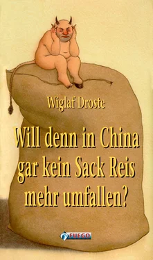 Wiglaf Droste Will denn in China gar kein Sack Reis mehr umfallen? обложка книги