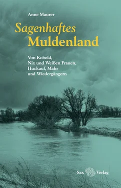 Anne Maurer Sagenhaftes Muldenland обложка книги