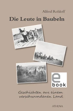 Alfred Rohloff Die Leute in Baubeln обложка книги
