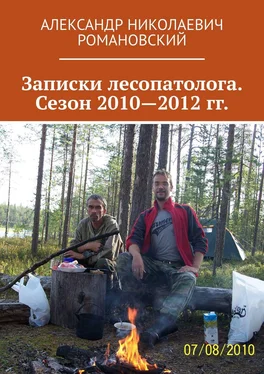 Александр Романовский Записки лесопатолога. Сезон 2010—2012 гг. обложка книги