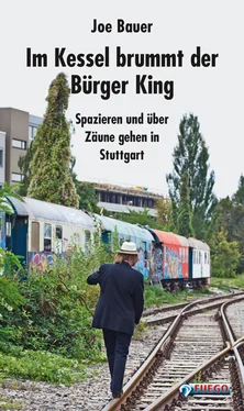 Joe Bauer Im Kessel brummt der Bürger King обложка книги