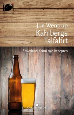 Joe Wentrup Kahlbergs Talfahrt обложка книги