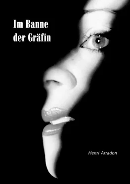 Henri Arradon Im Banne der Gräfin обложка книги