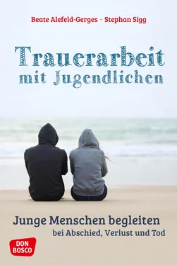 Stephan Sigg Trauerarbeit mit Jugendlichen - ebook обложка книги