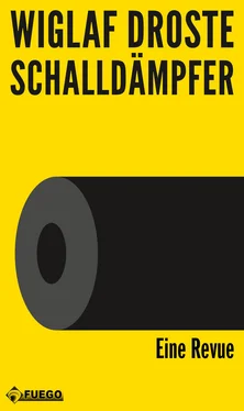 Wiglaf Droste Schalldämpfer обложка книги