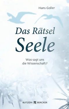 Hans Goller Das Rätsel Seele обложка книги