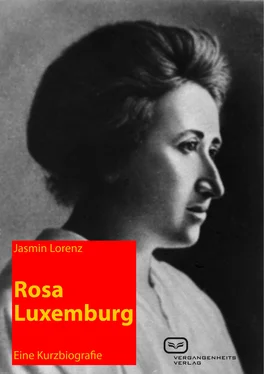 Jasmin Lorenz Rosa Luxemburg обложка книги