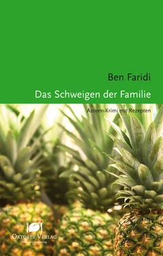 Ben Faridi Das Schweigen der Familie обложка книги