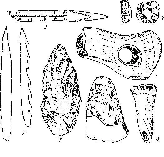 Рис 6 Различные тины орудий Маглемозе из Зеландии 13 78 12 4 23 - фото 7