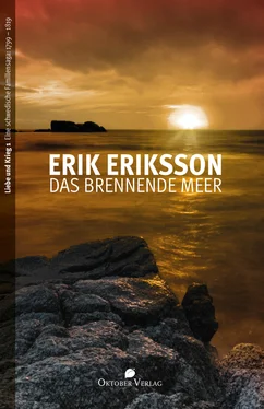 Erik Eriksson Das brennende Meer обложка книги