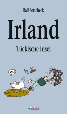 Ralf Sotscheck Irland - Tückische Insel обложка книги