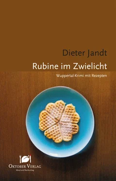 Dieter Jandt Rubine im Zwielicht обложка книги