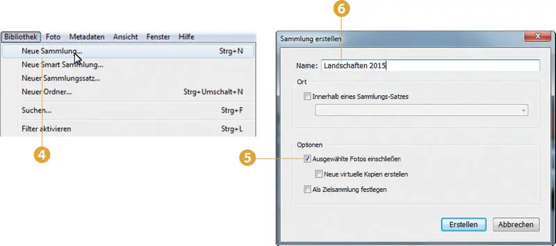 3Neue Sammlungen werden links im Arbeitsbereich angezeigt und sind nach dem - фото 80