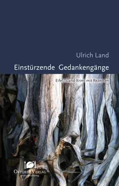 Ulrich Land Einstürzende Gedankengänge обложка книги
