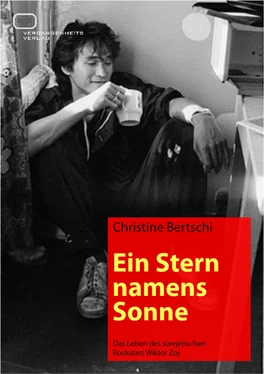 Christine Bertschi Ein Stern namens Sonne обложка книги
