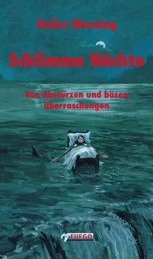 Heiko Werning Schlimme Nächte обложка книги