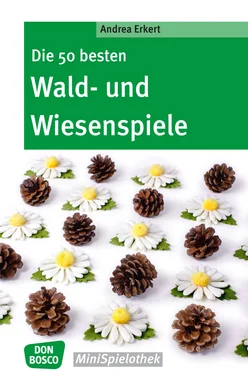 Andrea Erkert Die 50 besten Wald- und Wiesenspiele - eBook обложка книги