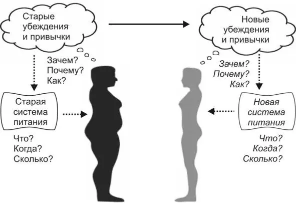 Рис Стратегия достижения стройного тела Итак для достижения цели по коррекции - фото 2