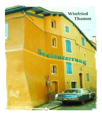Winfried Thamm Seelenzerrung обложка книги