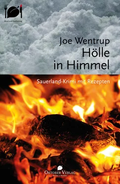 Joe Wentrup Hölle in Himmel обложка книги