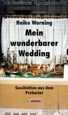 Heiko Werning Mein wunderbarer Wedding обложка книги