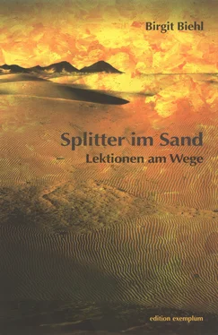 Birgit Biehl Splitter im Sand обложка книги