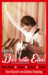 Stefan Ernsting - Der rote Elvis