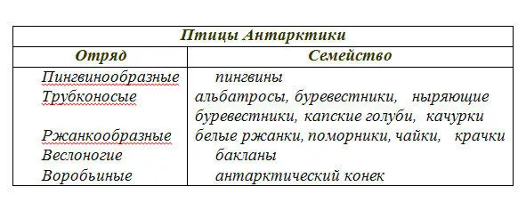 НЕЛЕТАЮЩИЕ ПТИЦЫ АНТАРКТИКИ ПИНГВИНЫ Моряки назвали пингвинов по причине их - фото 2