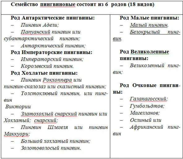 Пингвины уходят от зимы на север не потому что наступают холода а потому что - фото 3