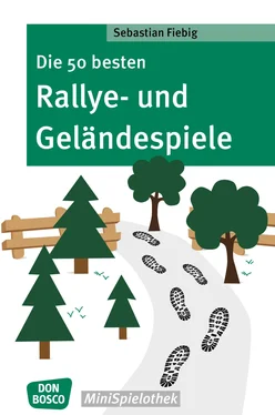 Sebastian Fiebig Die 50 besten Rallye- und Geländespiele обложка книги