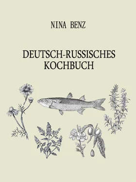 Nina Benz Deutsch-Russisches Kochbuch обложка книги