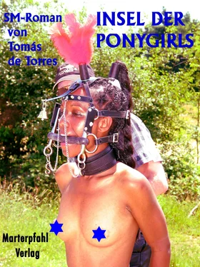 Tomàs de Torres Insel der Ponygirls обложка книги