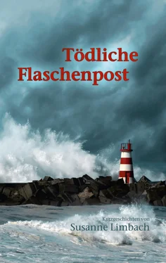 Susanne Limbach Tödliche Flaschenpost & Tausend Träume обложка книги