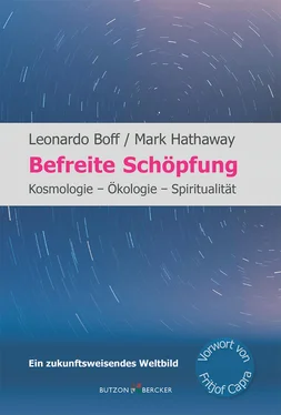 Leonardo Boff Befreite Schöpfung обложка книги