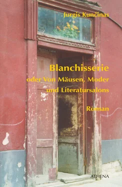 Jurgis Kuncinas Blanchisserie oder Von Mäusen, Moder und Literatursalons обложка книги