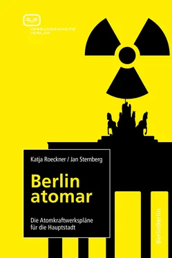 Katja Roeckner Berlin atomar обложка книги