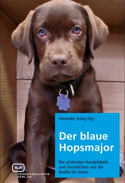 Неизвестный Автор Der blaue Hopsmajor обложка книги