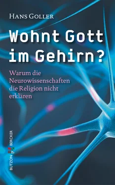 Hans Goller Wohnt Gott im Gehirn? обложка книги