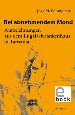 Jörg M. Pönnighaus Bei abnehmendem Mond обложка книги