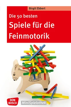 Birgit Ebbert Die 50 besten Spiele für die Feinmotorik - eBook обложка книги