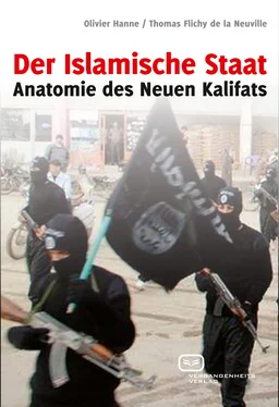 Thomas Flichy De La Neuville Der Islamische Staat обложка книги