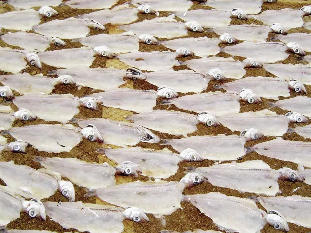 Trockenfisch in Nazaré Mit den fünf Mansholts saßen wir in der prallen - фото 7