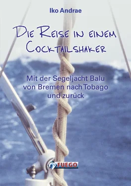 Iko Andrae Die Reise in einem Cocktailshaker обложка книги