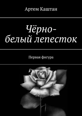 Артем Каштан Чёрно-белый лепесток. Первая фигура обложка книги