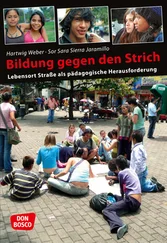 Sara Sierra Jaramillo - Bildung gegen den Strich - eBook