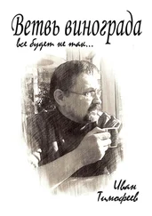 Иван Тимофеев - Ветвь винограда. Все будет не так…