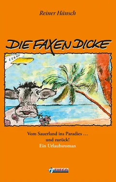 Reiner Hänsch Die Faxen Dicke обложка книги