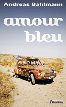Andreas Bahlmann Amour bleu обложка книги