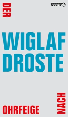 Wiglaf Droste Der Ohrfeige nach обложка книги